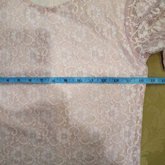 Roam Mykonos Pink Lace Sheath Dress sz XS - Picture 7 of 8